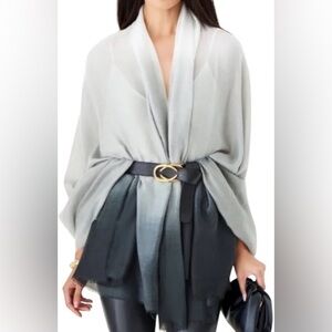 NEW Carly Cushnie Scarf Ombré Print